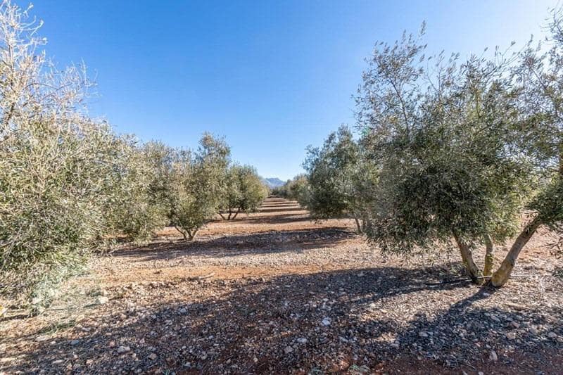 Finca/Casa di Campagna in vendita in Cogollos Vega - 55.000 € (Rif: 8917917)