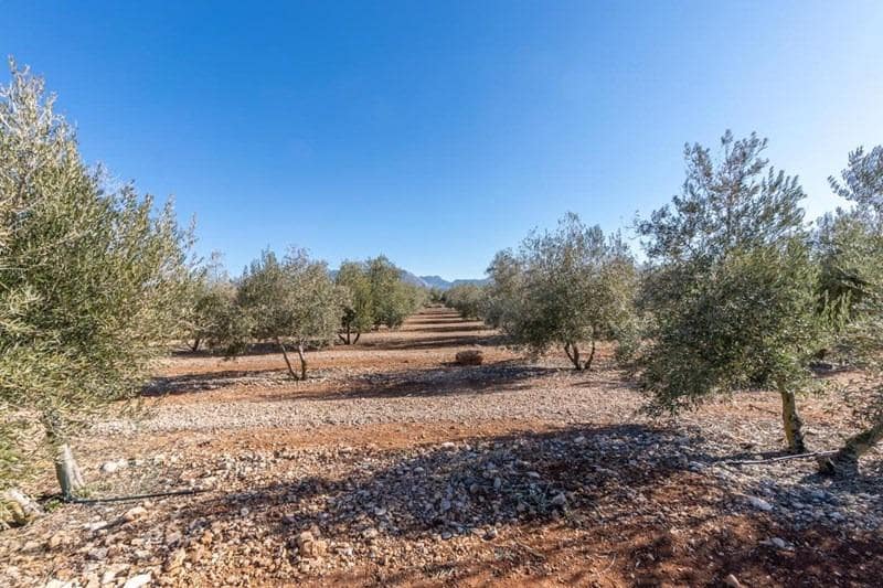 Finca/Casa di Campagna in vendita in Cogollos Vega - 55.000 € (Rif: 8917917)