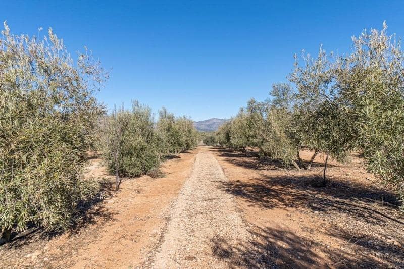 Finca/Casa di Campagna in vendita in Cogollos Vega - 55.000 € (Rif: 8917917)