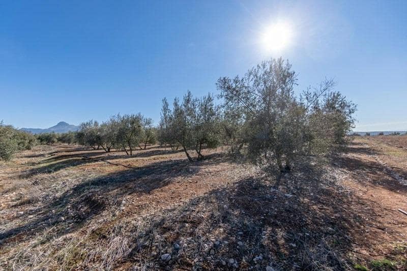 Finca/Casa di Campagna in vendita in Cogollos Vega - 55.000 € (Rif: 8917917)