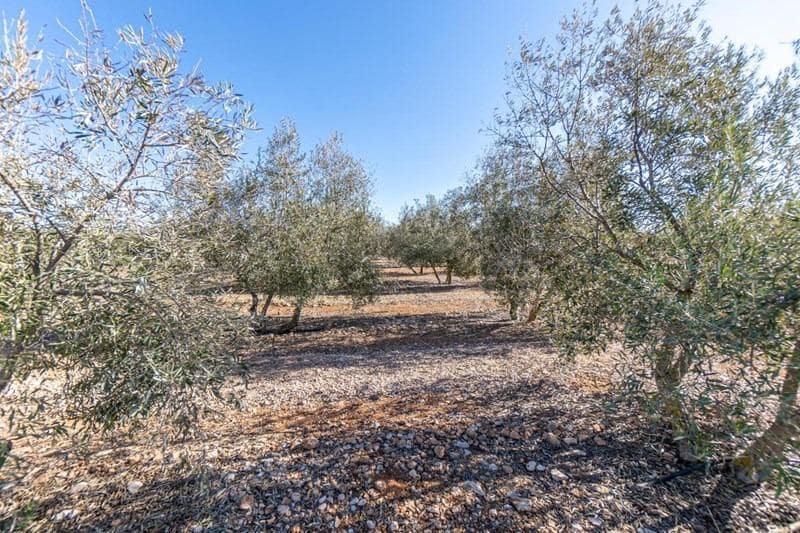 Finca/Casa di Campagna in vendita in Cogollos Vega - 55.000 € (Rif: 8917917)