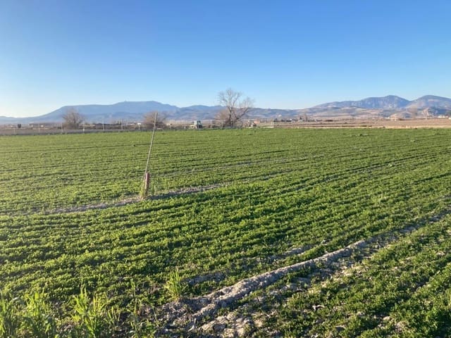 Finca/Landehus til salg i Pinos Puente - € 79.500 (Ref: 8917920)