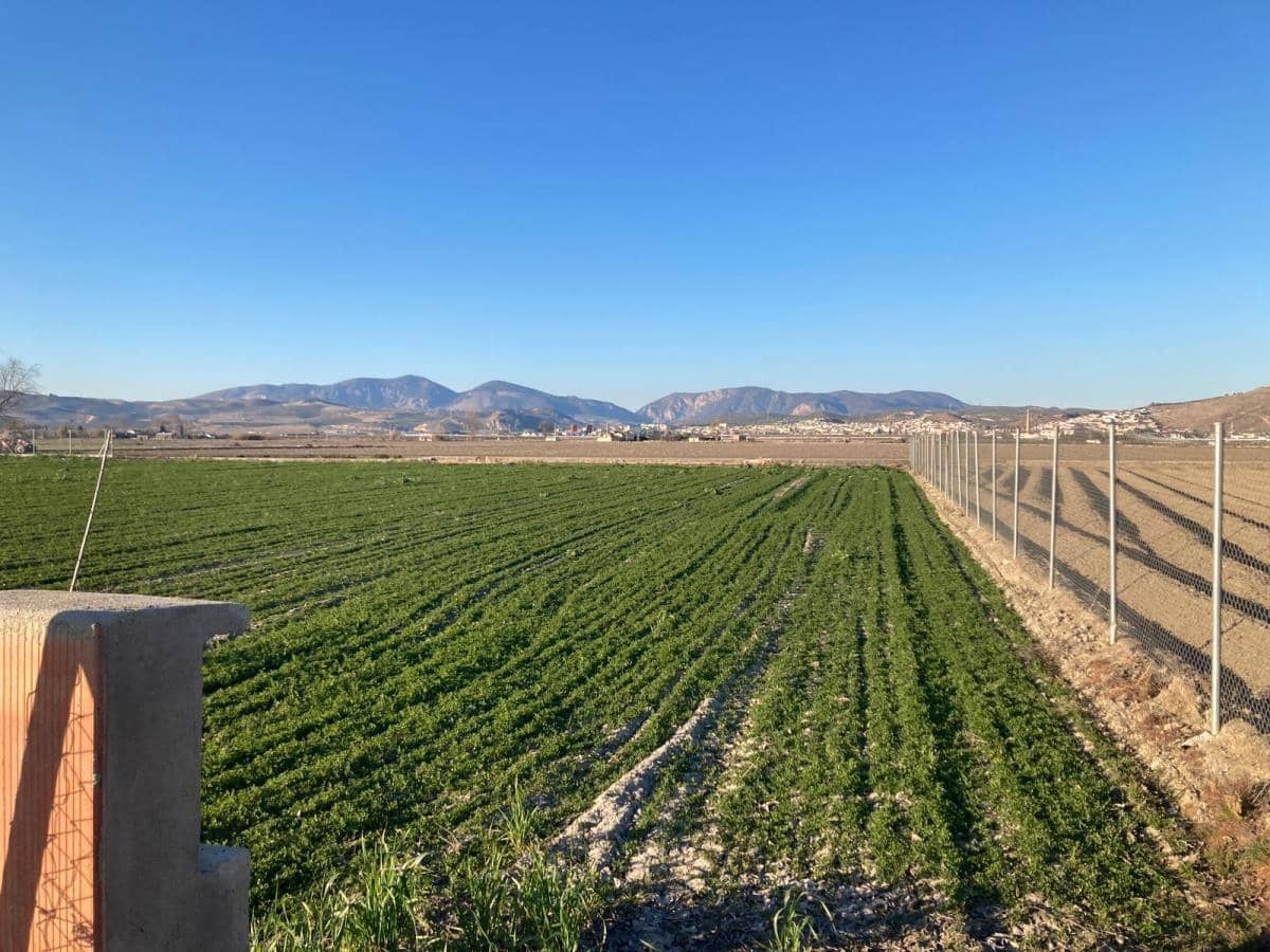 Finca/Herregård til salgs i Pinos Puente - € 79 500 (Ref: 8917920)