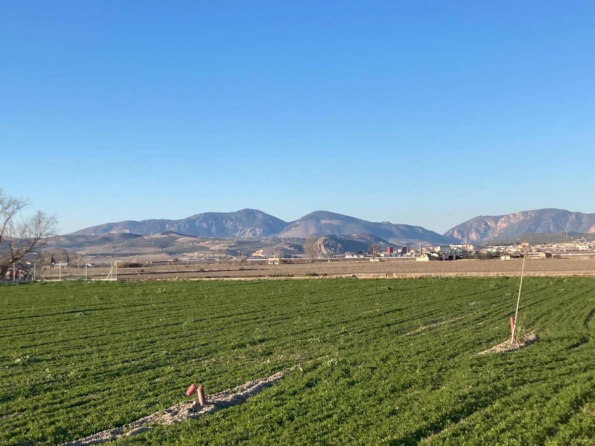 Finca/Herregård til salgs i Pinos Puente - € 79 500 (Ref: 8917920)