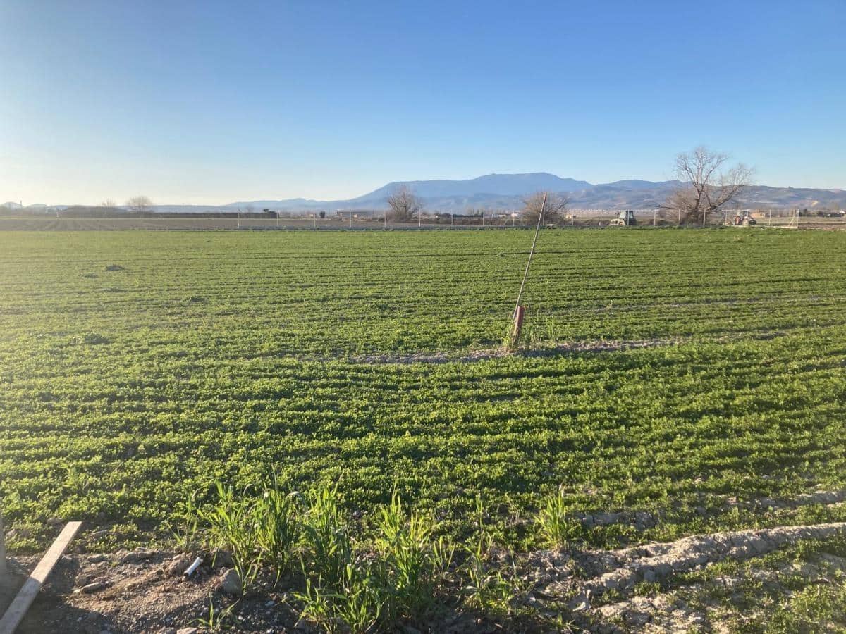 Finca/Herregård til salgs i Pinos Puente - € 79 500 (Ref: 8917920)