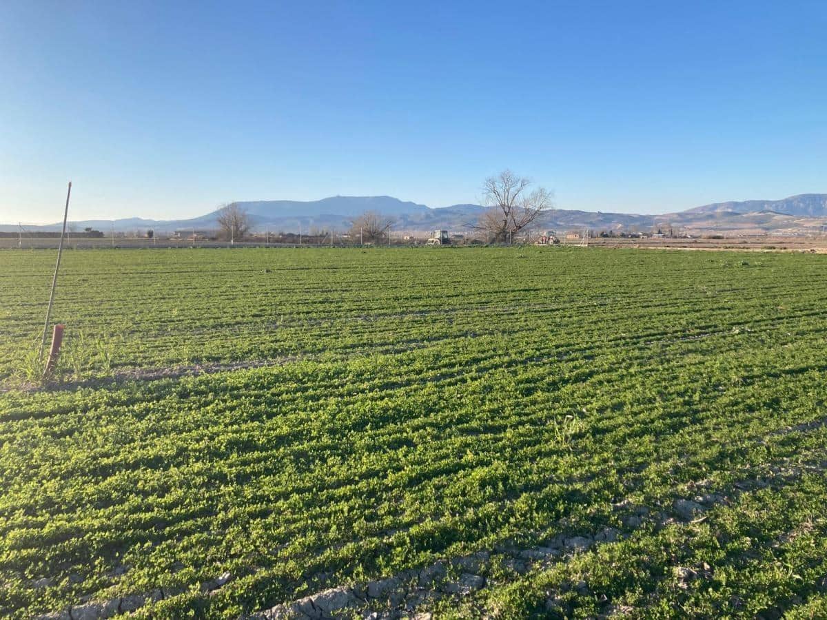 Finca/Herregård til salgs i Pinos Puente - € 79 500 (Ref: 8917920)