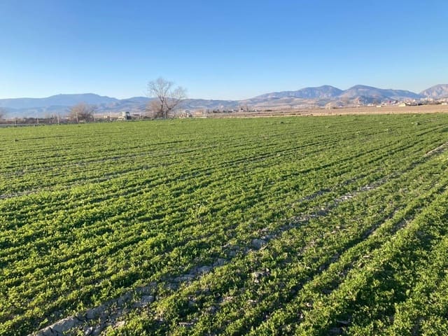 Finca/Landehus til salg i Pinos Puente - € 79.500 (Ref: 8917920)