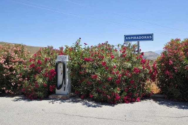 Business for sale in La Malahá - € 287,900 (Ref: 8917927)