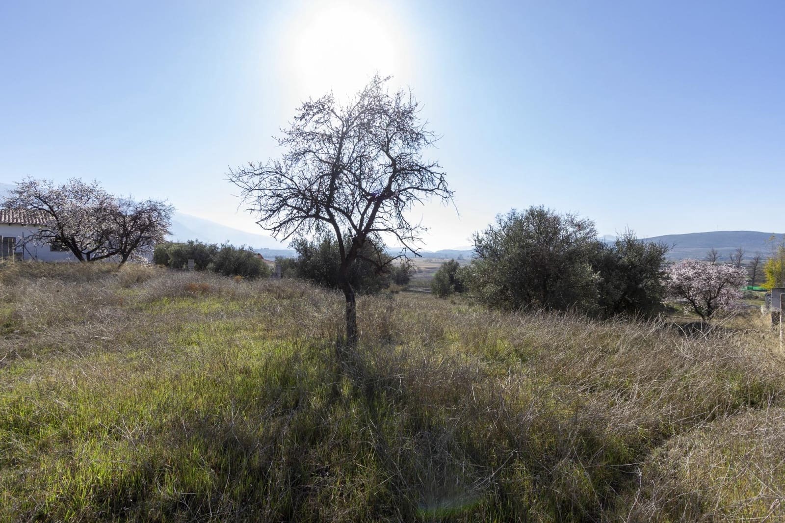 Bouwgrond te koop in Padul - € 50.000 (Ref: 8921656)