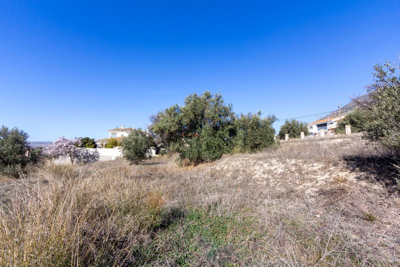 Bouwgrond te koop in Padul - € 50.000 (Ref: 8921656)