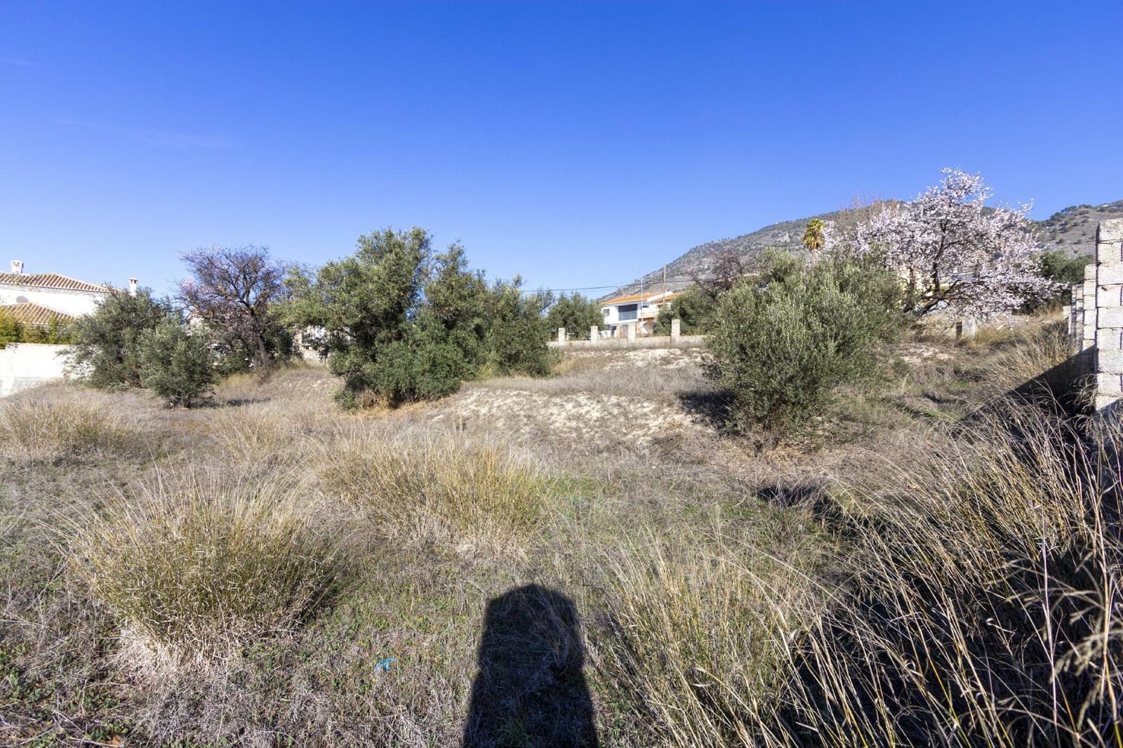 Bouwgrond te koop in Padul - € 50.000 (Ref: 8921656)