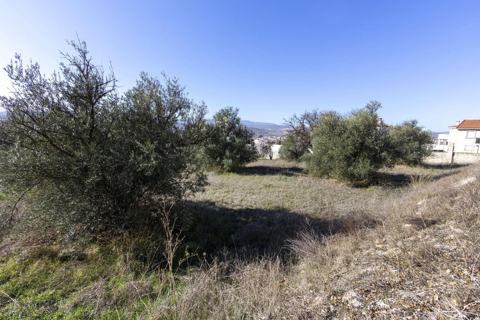 Bouwgrond te koop in Padul - € 50.000 (Ref: 8921656)