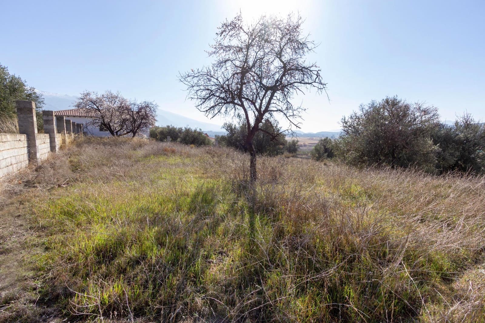 Bouwgrond te koop in Padul - € 50.000 (Ref: 8921656)