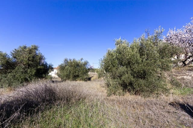 Bouwgrond te koop in Padul - € 50.000 (Ref: 8921656)