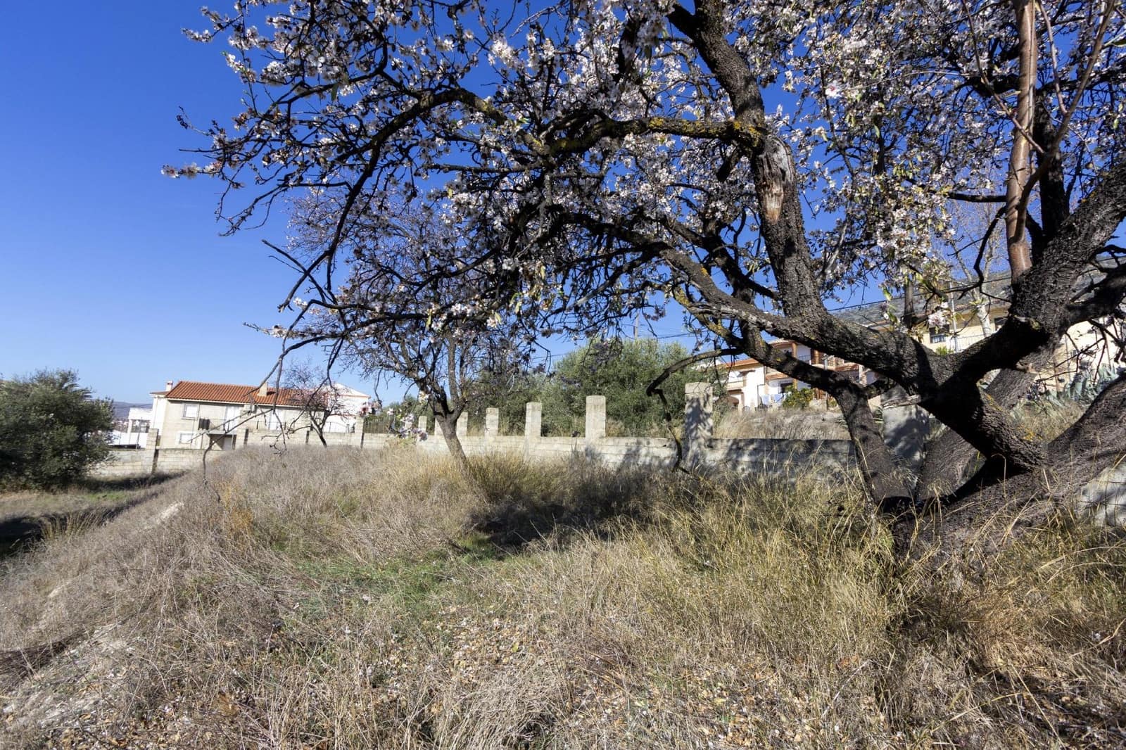 Bouwgrond te koop in Padul - € 50.000 (Ref: 8921656)