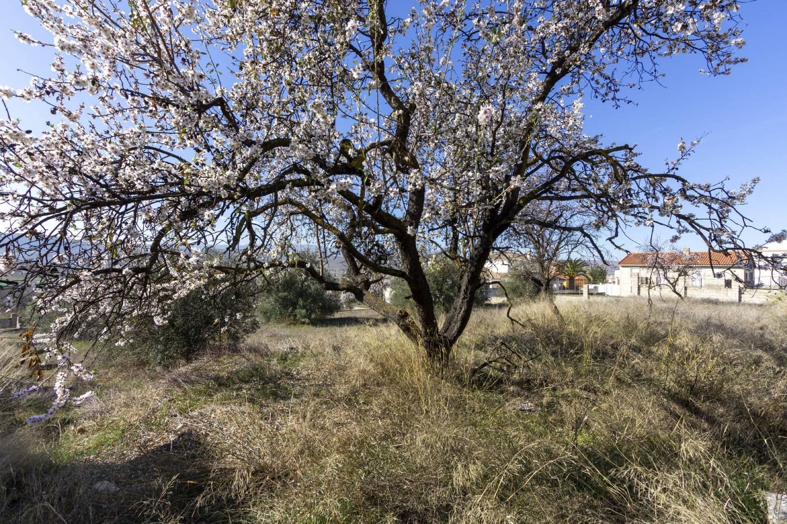 Bouwgrond te koop in Padul - € 50.000 (Ref: 8921656)