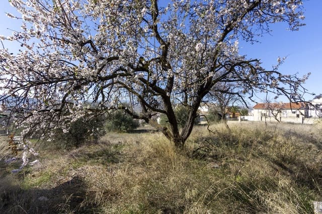 Bouwgrond te koop in Padul - € 50.000 (Ref: 8921656)