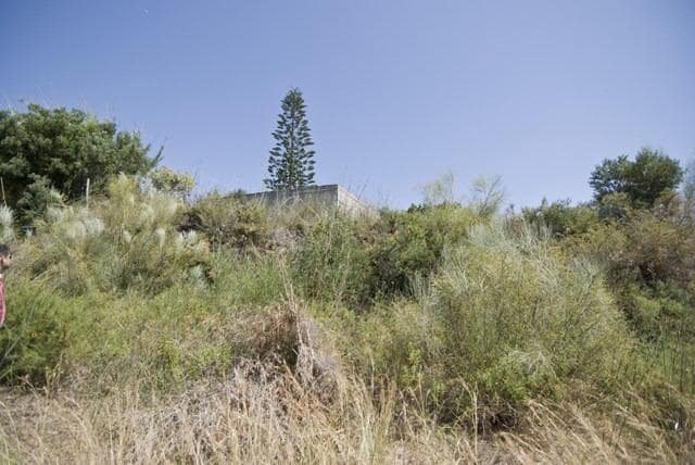 Finka/Dom wiejski na sprzedaż w Motril - 100 000 € (Ref: 8923788)