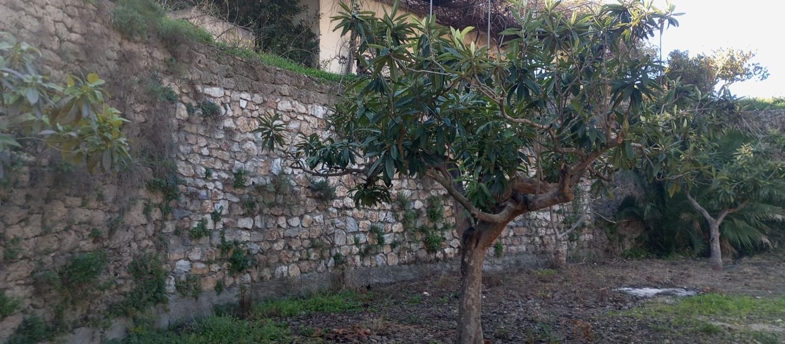 1 soveværelse Finca/Landehus til salg i Velez de Benaudalla - € 149.997 (Ref: 8926740)