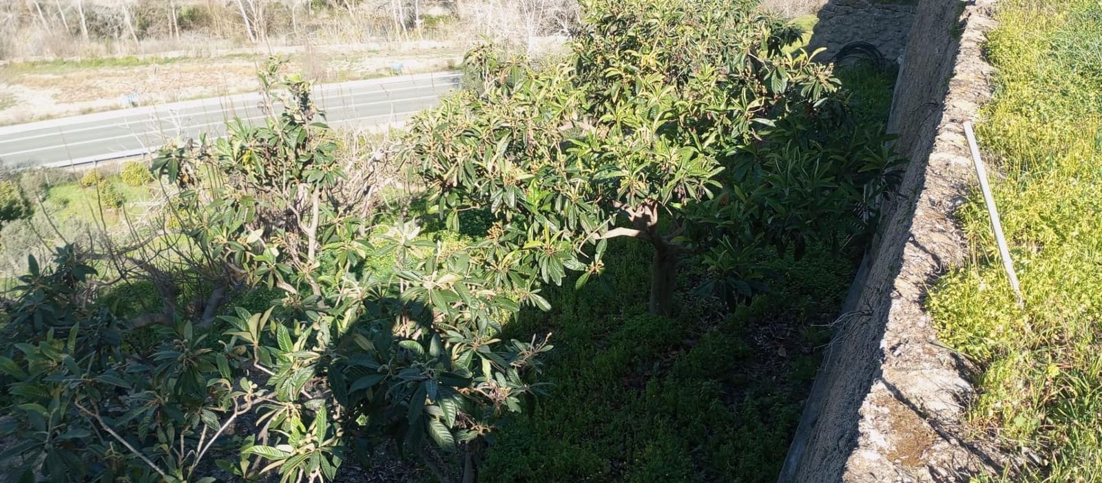 1 soveværelse Finca/Landehus til salg i Velez de Benaudalla - € 149.997 (Ref: 8926740)