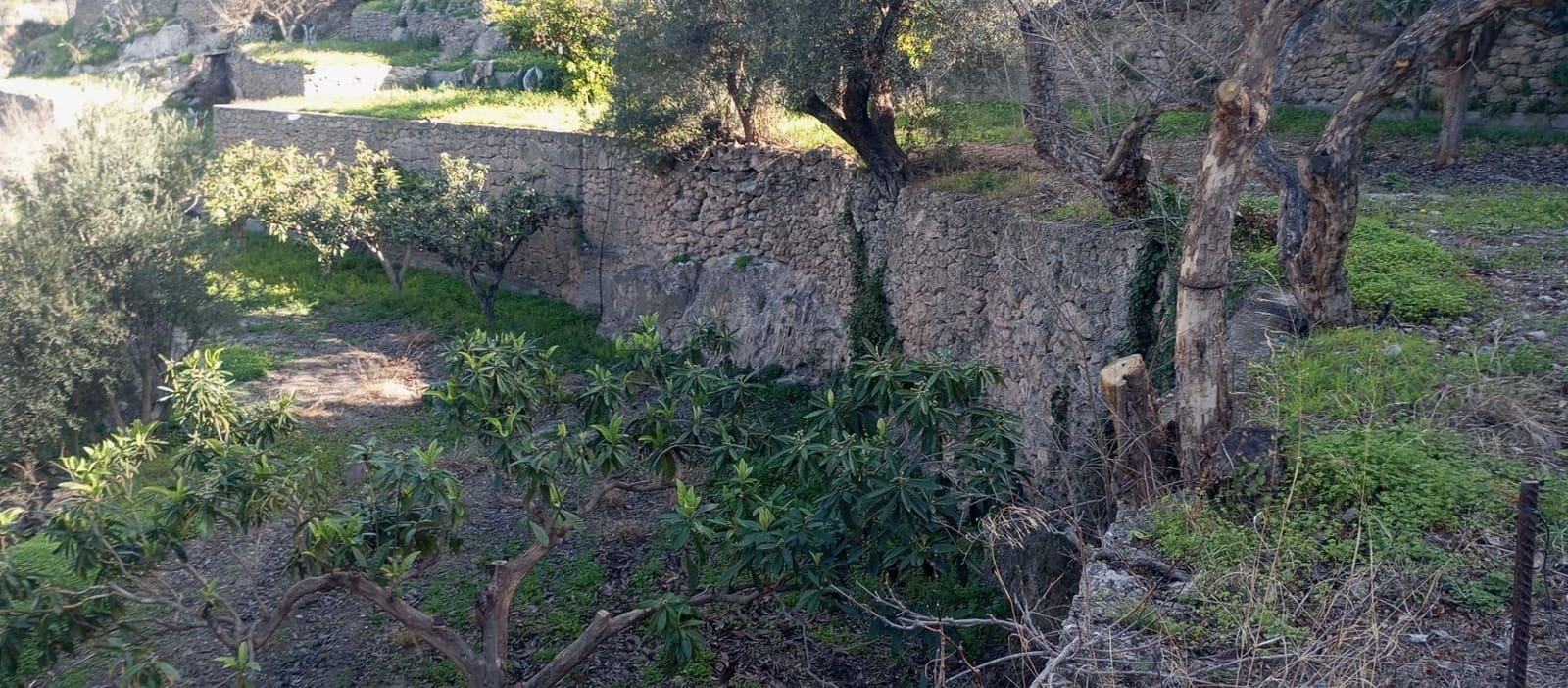 1 soveværelse Finca/Landehus til salg i Velez de Benaudalla - € 149.997 (Ref: 8926740)