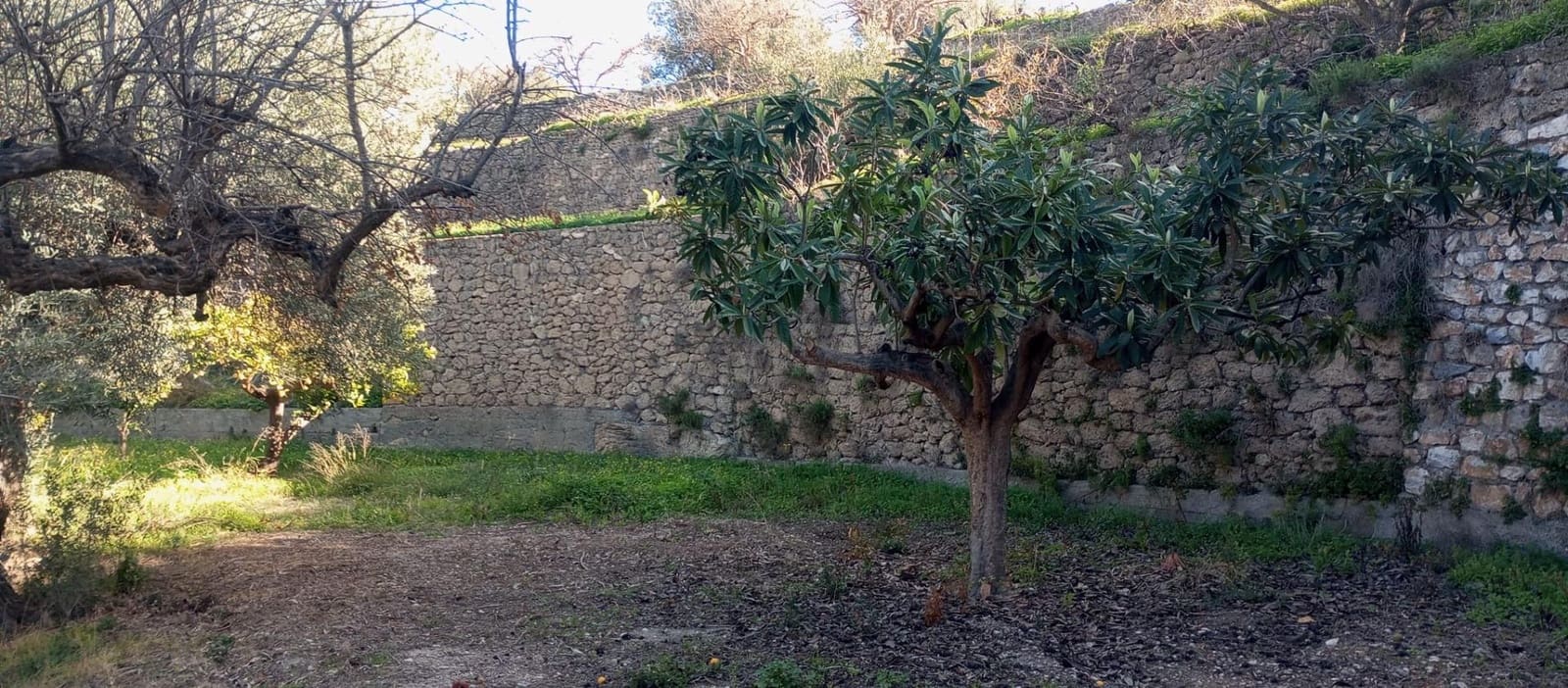 1 soveværelse Finca/Landehus til salg i Velez de Benaudalla - € 149.997 (Ref: 8926740)