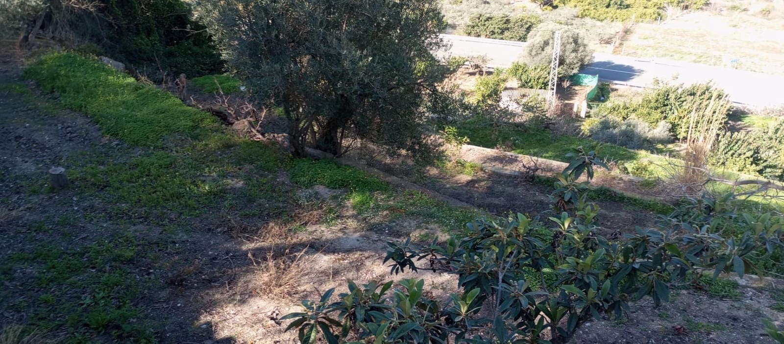 1 soveværelse Finca/Landehus til salg i Velez de Benaudalla - € 149.997 (Ref: 8926740)