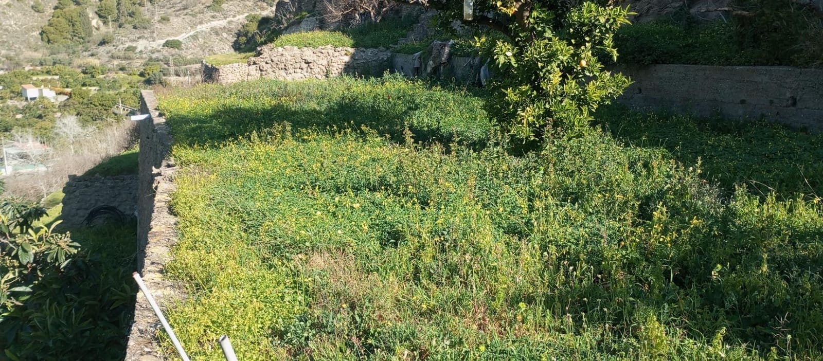 1 soveværelse Finca/Landehus til salg i Velez de Benaudalla - € 149.997 (Ref: 8926740)