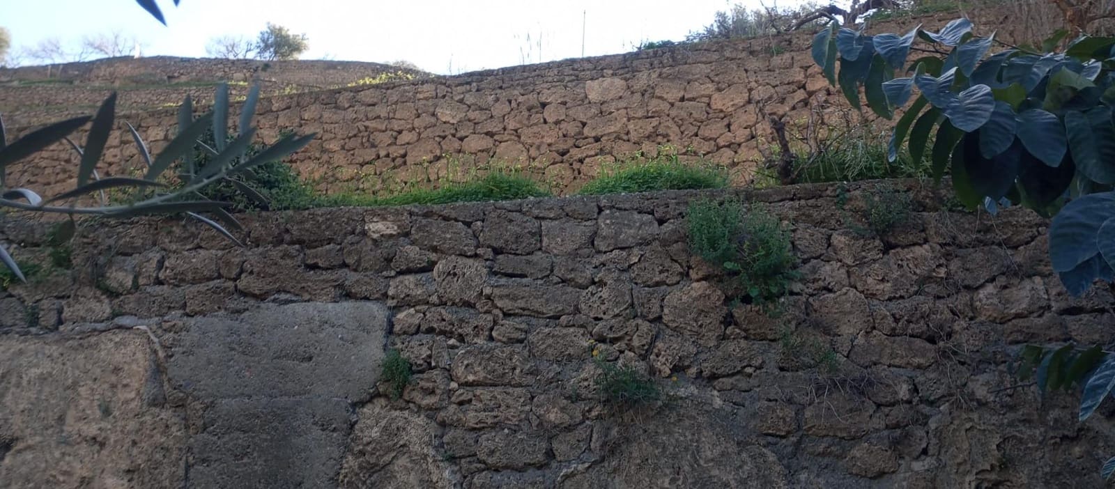 1 soveværelse Finca/Landehus til salg i Velez de Benaudalla - € 149.997 (Ref: 8926740)