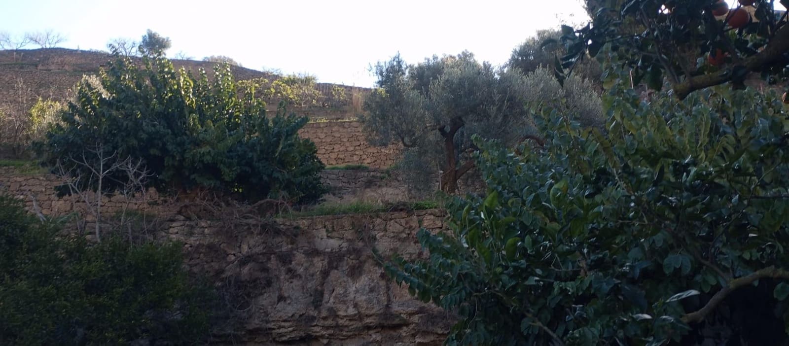 1 soveværelse Finca/Landehus til salg i Velez de Benaudalla - € 149.997 (Ref: 8926740)