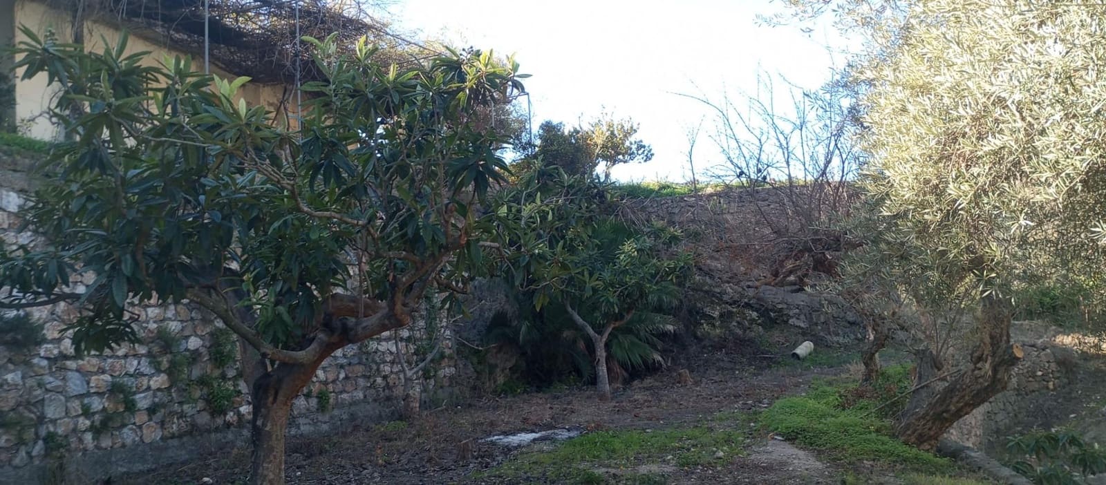 1 soveværelse Finca/Landehus til salg i Velez de Benaudalla - € 149.997 (Ref: 8926740)