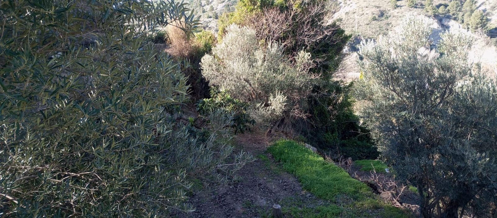 1 soveværelse Finca/Landehus til salg i Velez de Benaudalla - € 149.997 (Ref: 8926740)