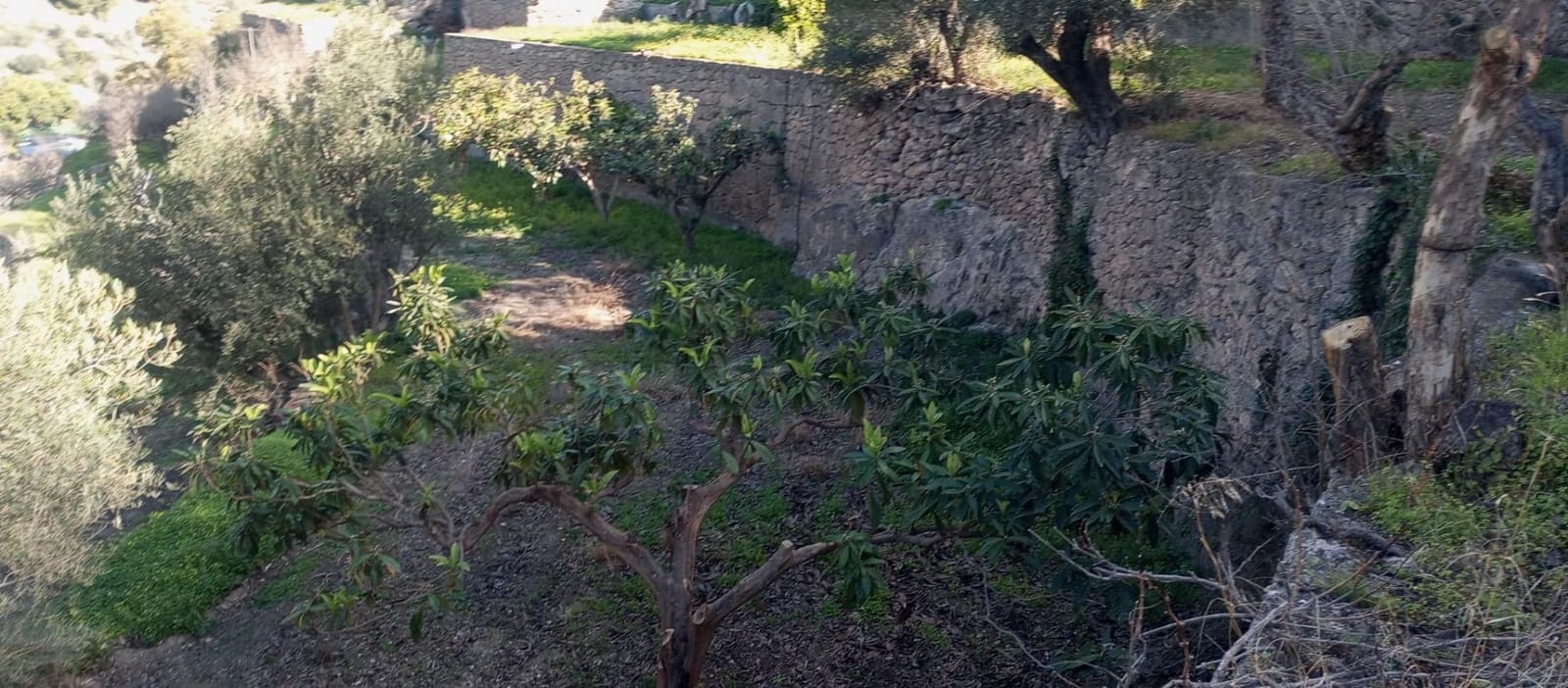 1 soveværelse Finca/Landehus til salg i Velez de Benaudalla - € 149.997 (Ref: 8926740)