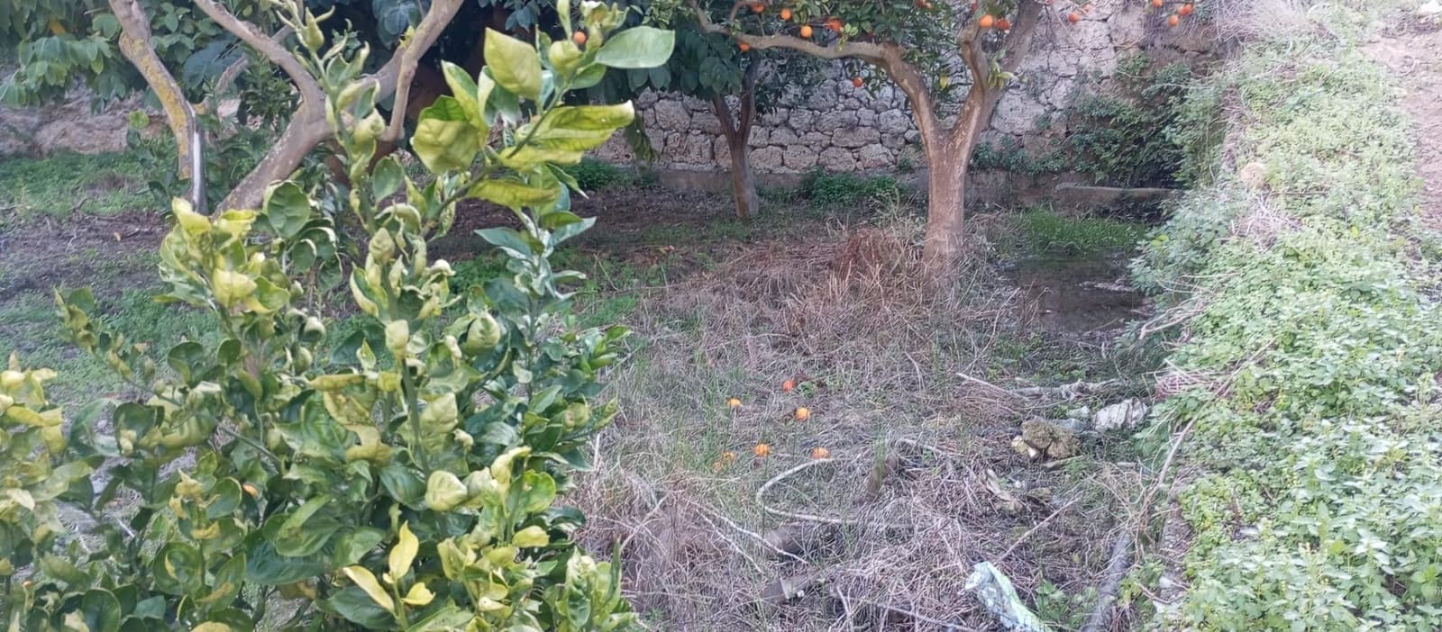 1 soveværelse Finca/Landehus til salg i Velez de Benaudalla - € 149.997 (Ref: 8926740)