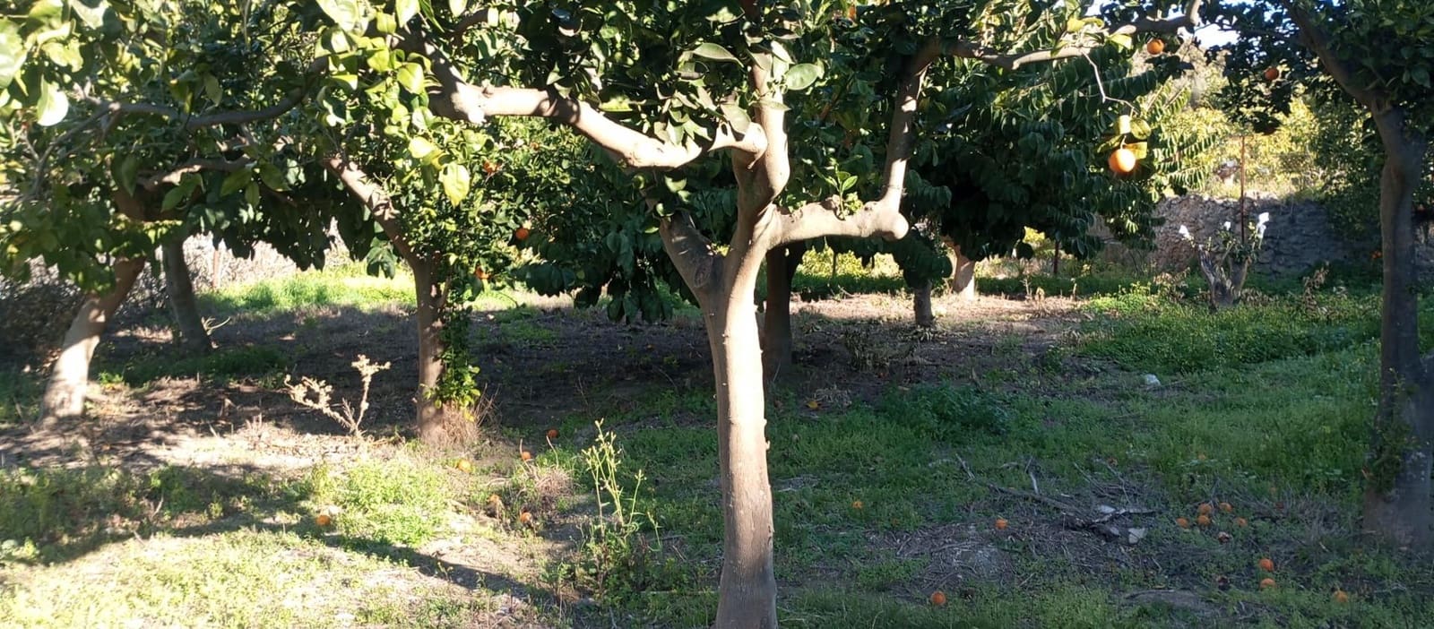 1 soveværelse Finca/Landehus til salg i Velez de Benaudalla - € 149.997 (Ref: 8926740)