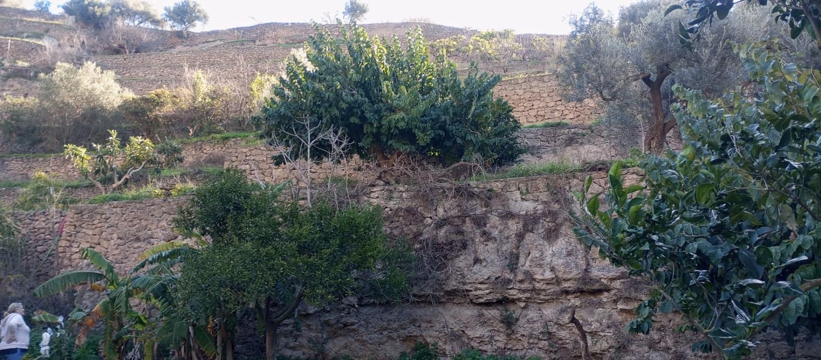 1 soveværelse Finca/Landehus til salg i Velez de Benaudalla - € 149.997 (Ref: 8926740)