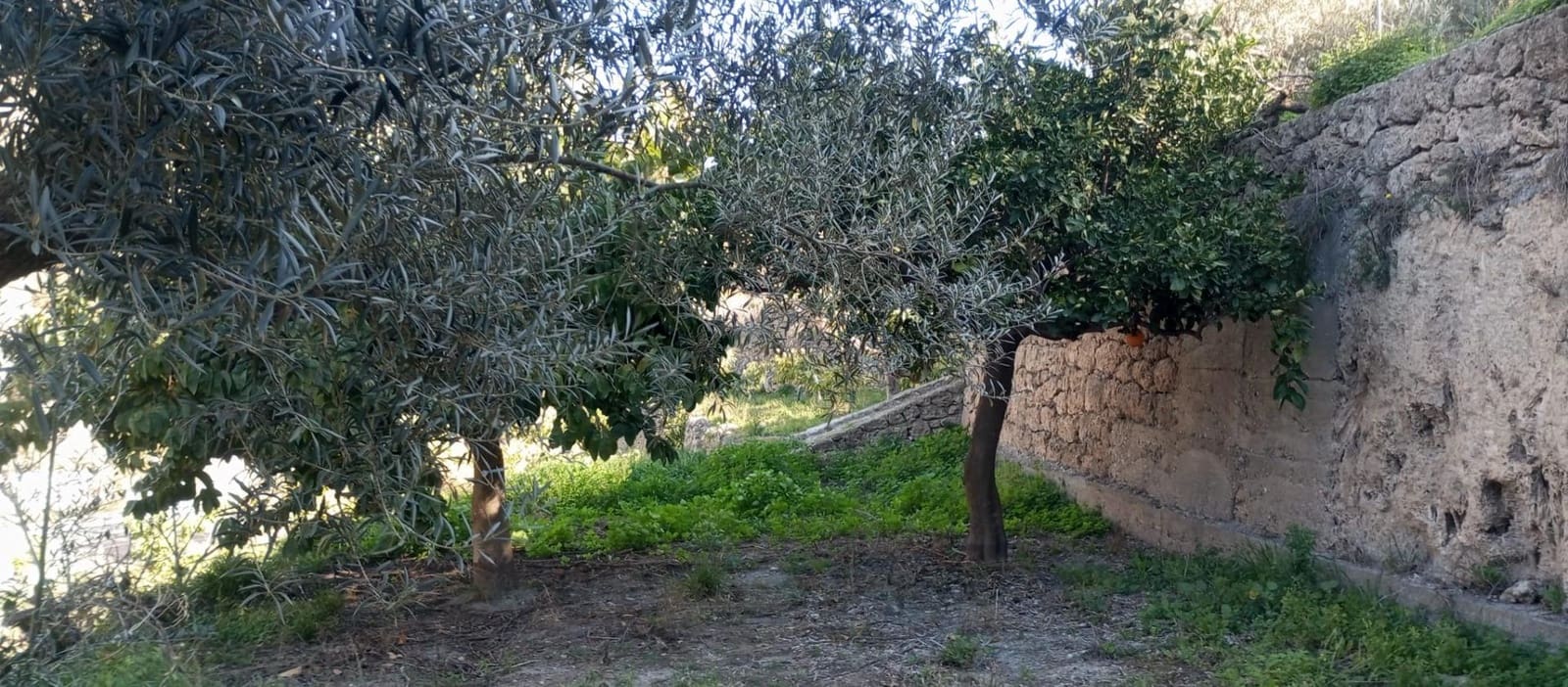 1 soveværelse Finca/Landehus til salg i Velez de Benaudalla - € 149.997 (Ref: 8926740)