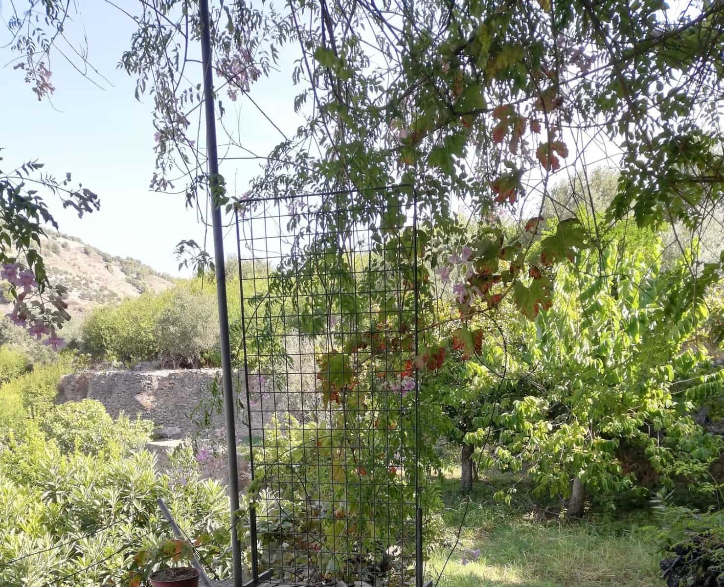 1 soveværelse Finca/Landehus til salg i Velez de Benaudalla - € 149.997 (Ref: 8926740)