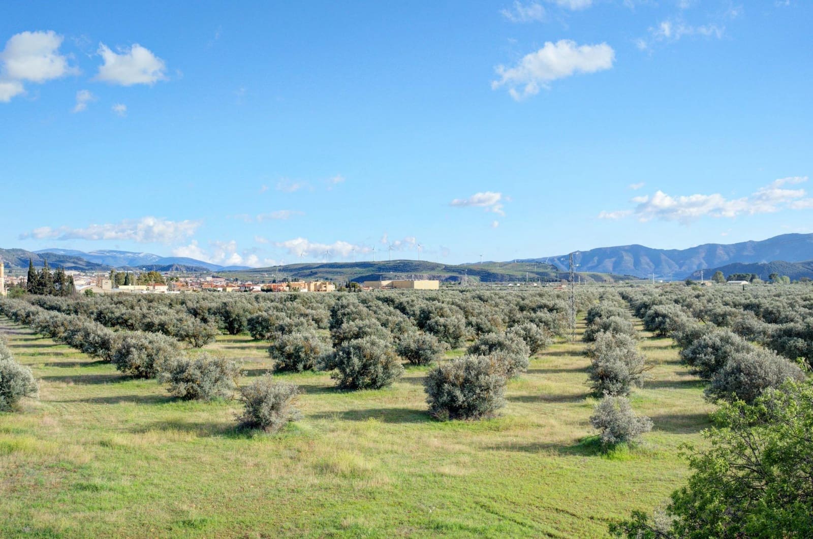 Bouwgrond te koop in Marchena - € 96.900 (Ref: 8926742)