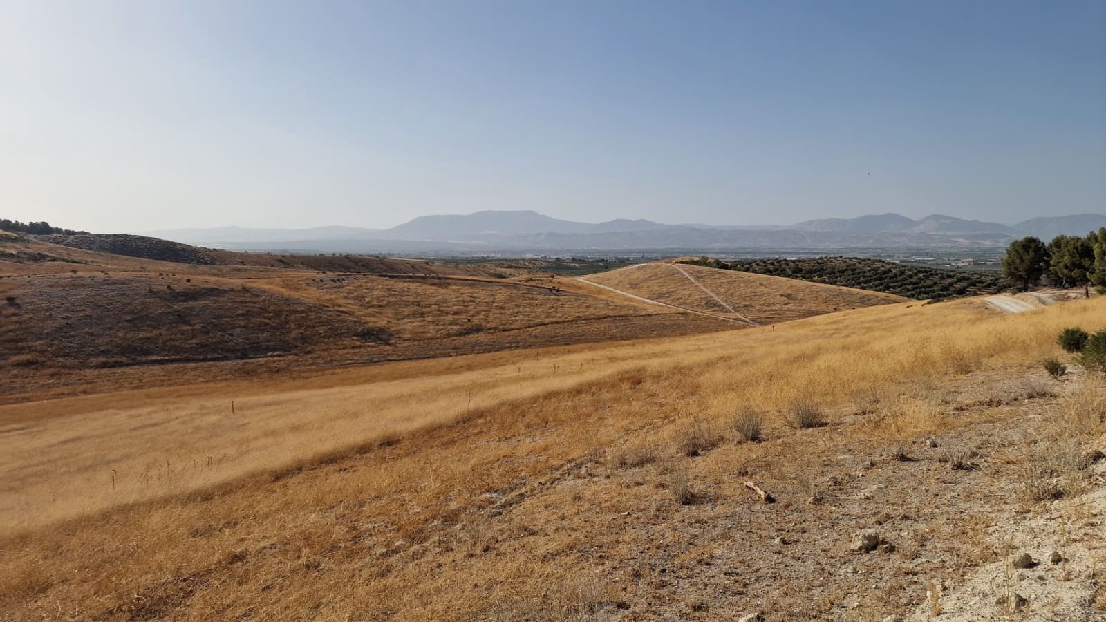 Grunde uden byggetilladelser til salg i Santa Fe - € 300.000 (Ref: 8950578)