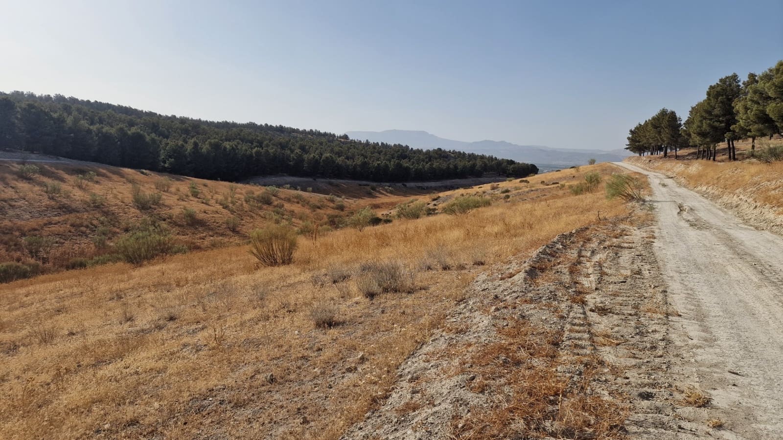 Grunde uden byggetilladelser til salg i Santa Fe - € 300.000 (Ref: 8950578)