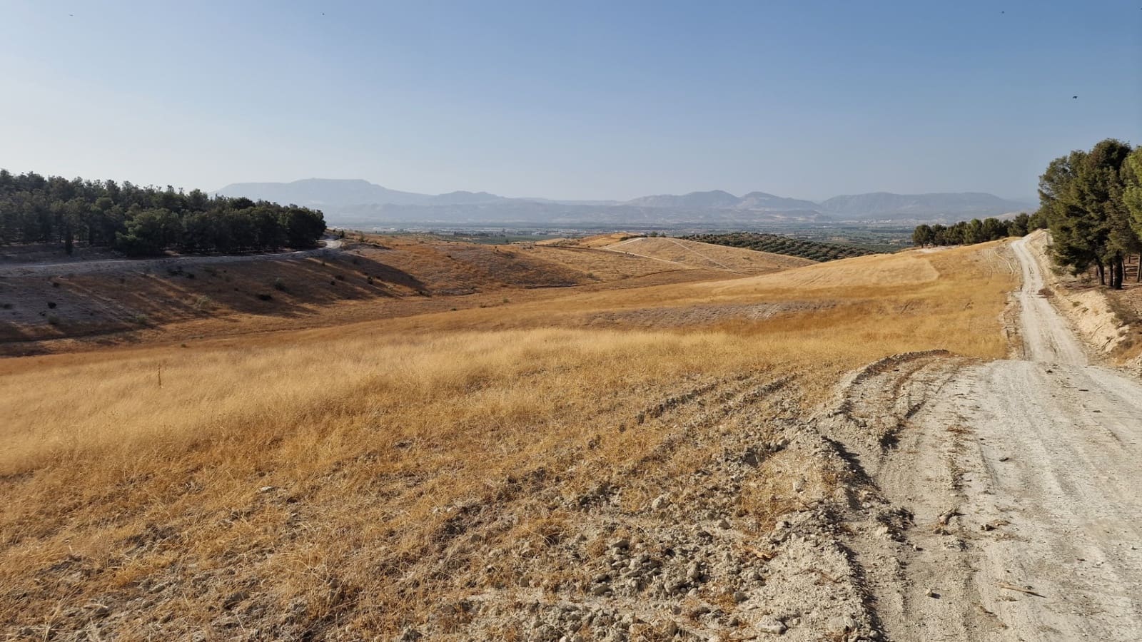 Grunde uden byggetilladelser til salg i Santa Fe - € 300.000 (Ref: 8950578)