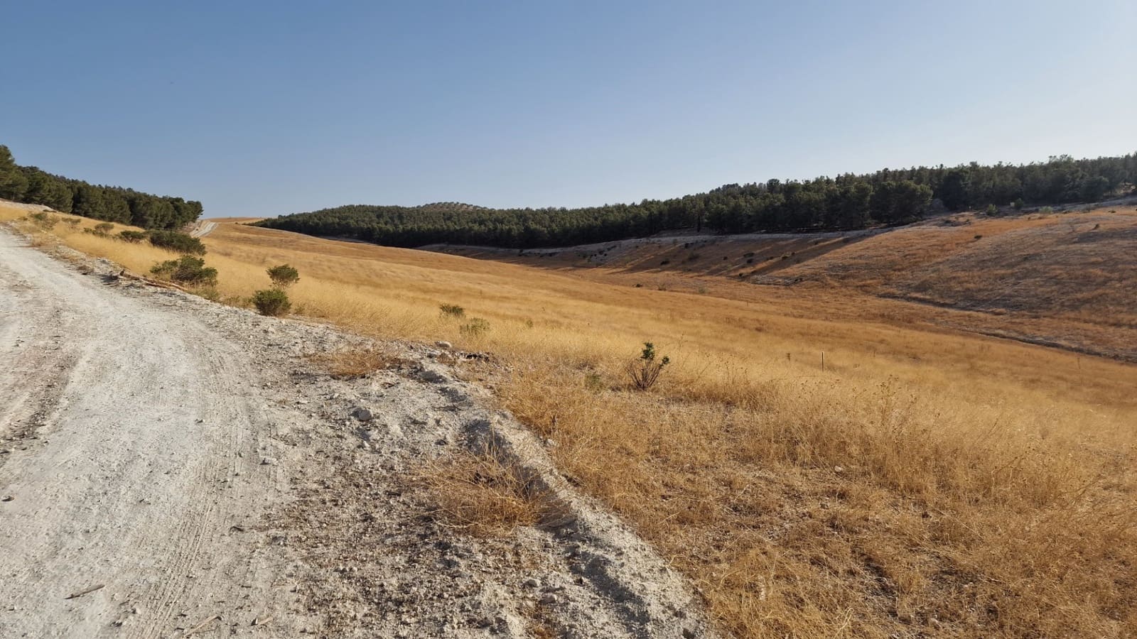 Grunde uden byggetilladelser til salg i Santa Fe - € 300.000 (Ref: 8950578)