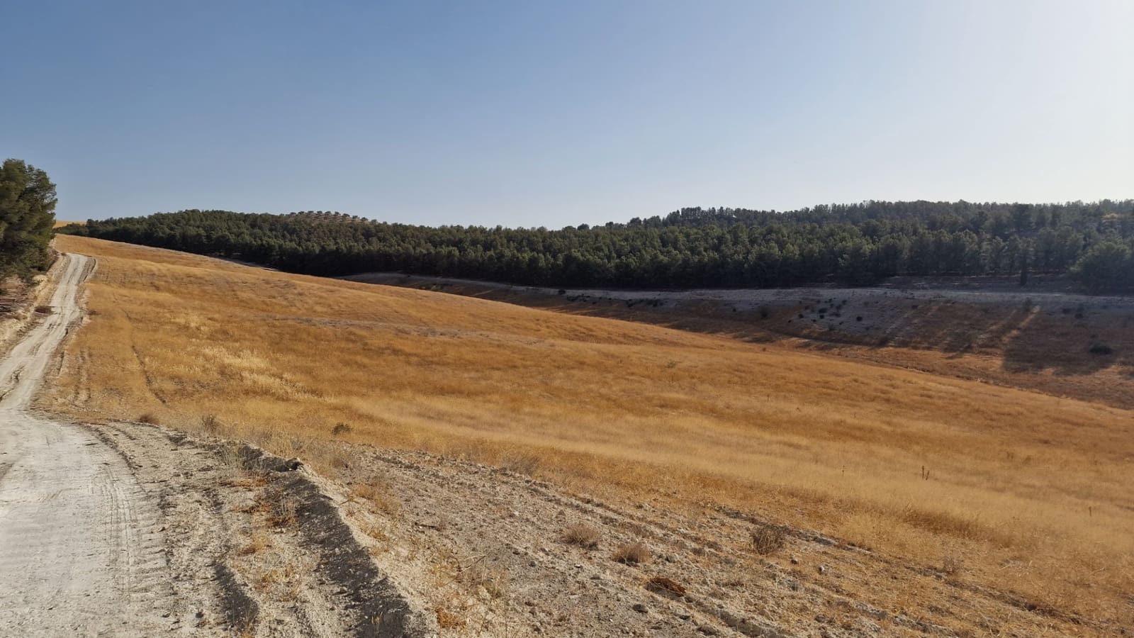 Grunde uden byggetilladelser til salg i Santa Fe - € 300.000 (Ref: 8950578)