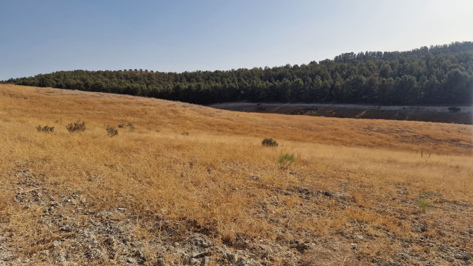 Grunde uden byggetilladelser til salg i Santa Fe - € 300.000 (Ref: 8950578)