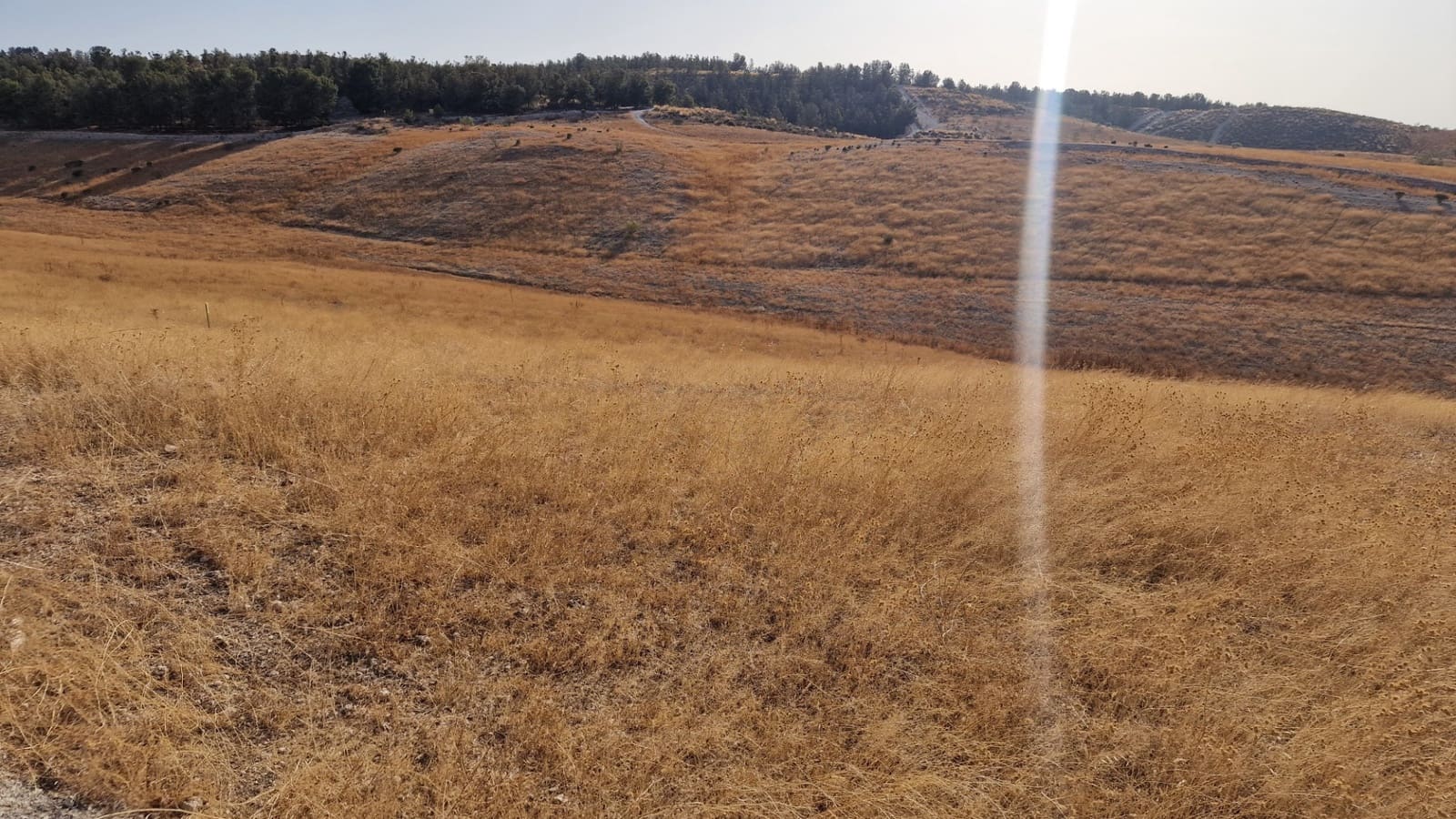 Grunde uden byggetilladelser til salg i Santa Fe - € 300.000 (Ref: 8950578)