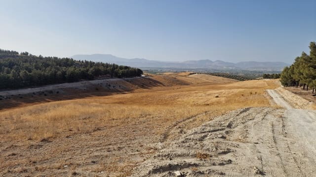 Grunde uden byggetilladelser til salg i Santa Fe - € 300.000 (Ref: 8950578)