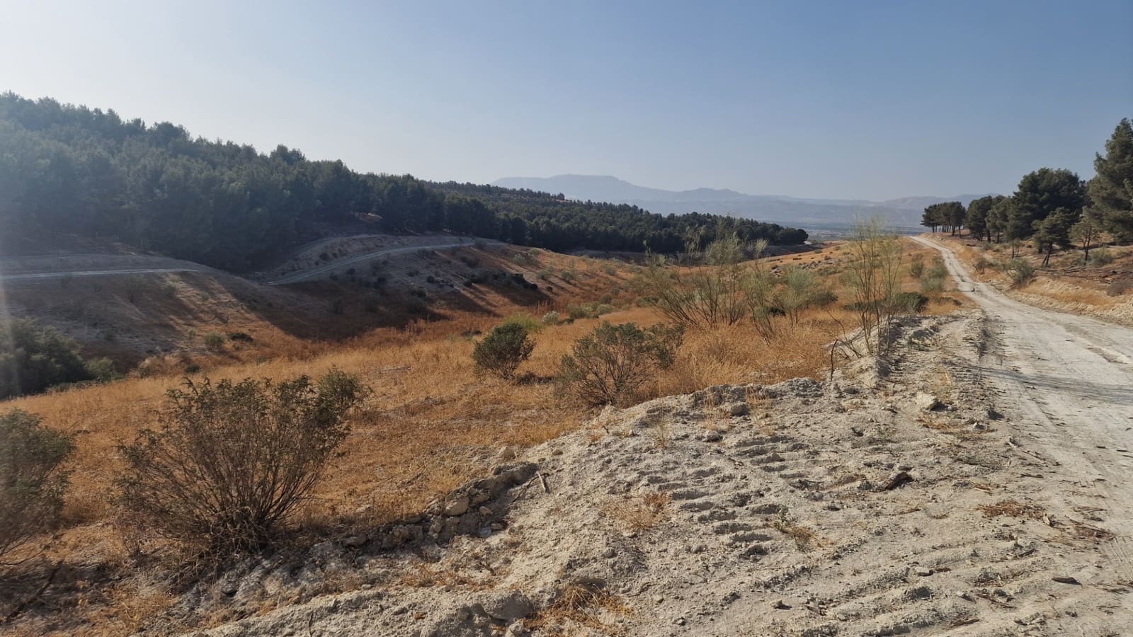 Grunde uden byggetilladelser til salg i Santa Fe - € 300.000 (Ref: 8950578)