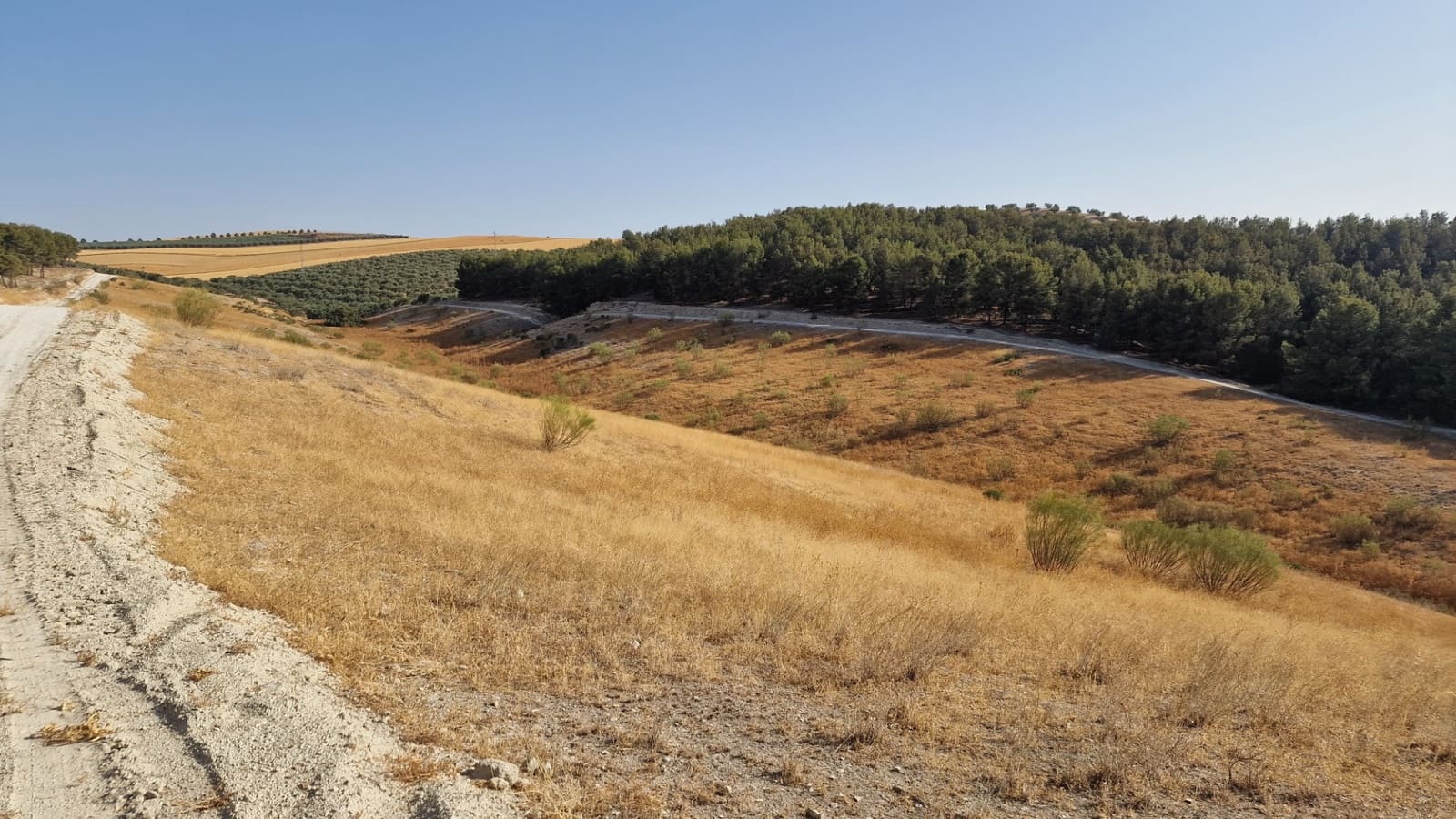 Grunde uden byggetilladelser til salg i Santa Fe - € 300.000 (Ref: 8950578)