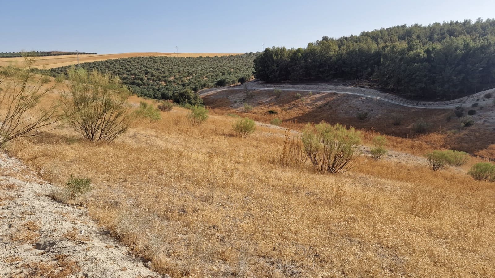 Grunde uden byggetilladelser til salg i Santa Fe - € 300.000 (Ref: 8950578)